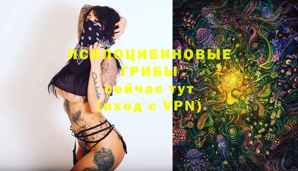 твердый Горно-Алтайск