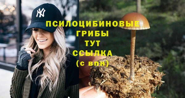кристаллы Апатиты