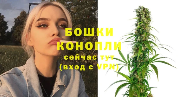 твердый Горно-Алтайск
