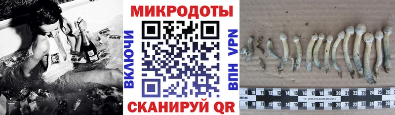 Купить где  Зерноград  Галлюциногенные грибы прущие грибы 